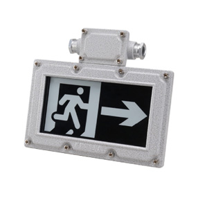 小型高防護(hù)燈具